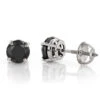 14K White Gold Black Diamond Stud Earrings Prong Set 2.00ct 1 14K White Gold Black Diamond Stud Earrings Prong Set 2.00ct -Invicta Jewelry Store 14k gold black diamond stud earrings prong set 200ct p 6058 wh