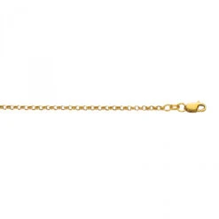 Hollow 10K Yellow Gold Rolo Chain For Men & Women 2.3mm Wide