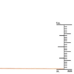 LUXURMAN Solid 14K White Gold Box Chain For Women 0.6mm Lobster Lock -Invicta Jewelry Store luxurman solid 14k gold box chain for women 06mm wide 1 rulerro