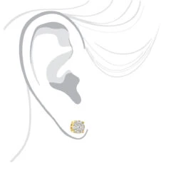 Round Cluster Diamond Earrings Studs 0.75ct 14K Yellow Gold 12 Round Cluster Diamond Earrings Studs 0.75ct 14K Yellow Gold -Invicta Jewelry Store round cluster diamond earrings studs 063ct 14k gold bodye